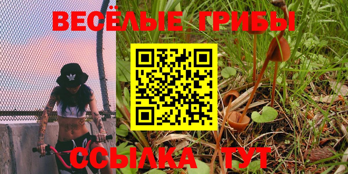 Галлюциногенные грибы Magic Shrooms Фрязино