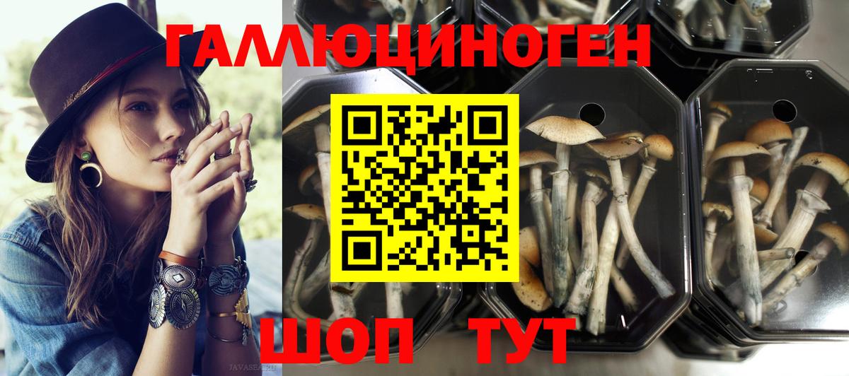 Фрязино  Галлюциногенные грибы ЛСД  Вход с VPN 